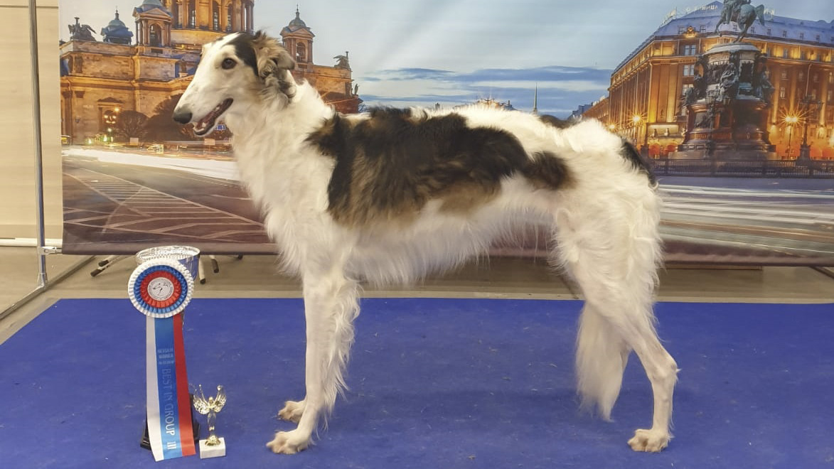 Svirel iz Severnoi Ohoty