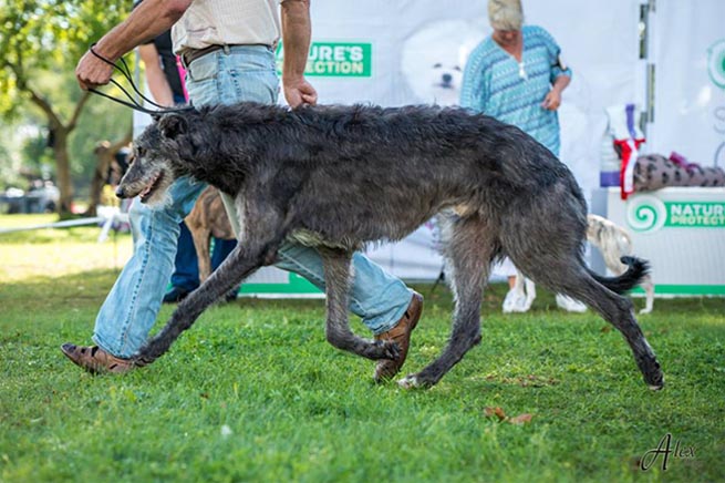 One More Day von der Oelmuehle