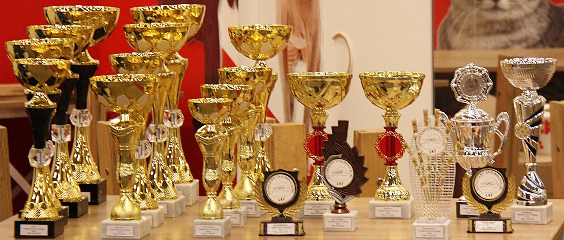 Sighthound Speciality show, 13.11.2020