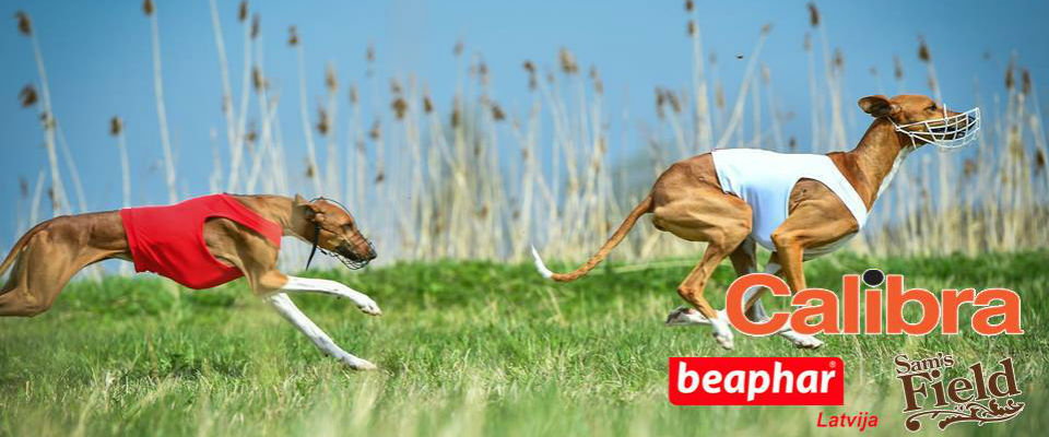 CACL CLUB WINNER 2018